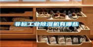非标工业除湿机有哪些