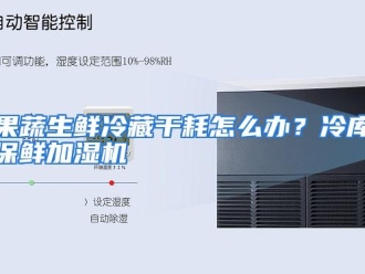常见问题果蔬生鲜冷藏干耗怎么办？冷库保鲜加湿机