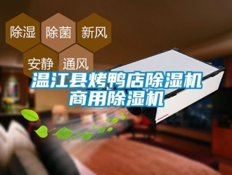 常见问题温江县烤鸭店除湿机商用除湿机
