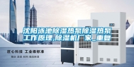 沈阳泳池除湿热泵除湿热泵工作原理,除湿机厂家_重复
