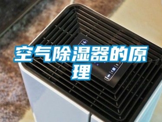 行业资讯空气除湿器的原理