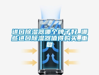 行业资讯进口除湿器哪个牌子好_哪些进口除湿器值得购买_重复