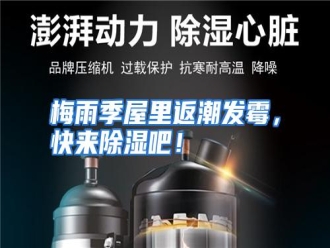 行业资讯梅雨季屋里返潮发霉，快来除湿吧！