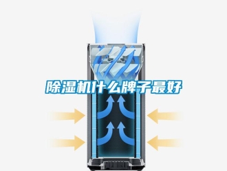 常见问题除湿机什么牌子最好