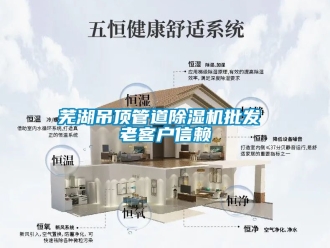 行业资讯芜湖吊顶管道除湿机批发 老客户信赖