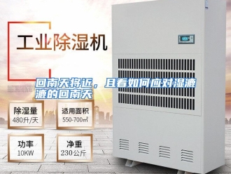常见问题回南天将近，且看如何应对湿漉漉的回南天