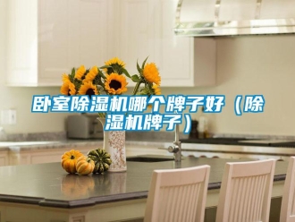 行业资讯卧室除湿机哪个牌子好（除湿机牌子）