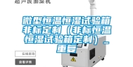 微型恒温恒湿试验箱非标定制（非标恒温恒湿试验箱定制）_重复