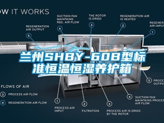 知识百科兰州SHBY-60B型标准恒温恒湿养护箱