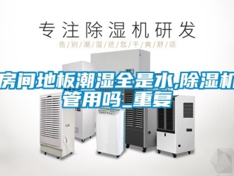 行业资讯房间地板潮湿全是水,除湿机管用吗_重复