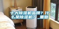 十大除湿机品牌？什么是除湿机？_重复